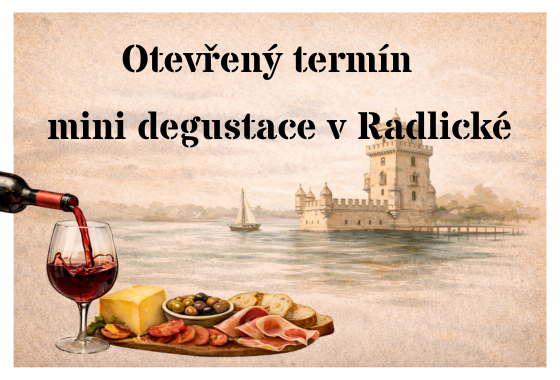 Mini degustace portugalských vín