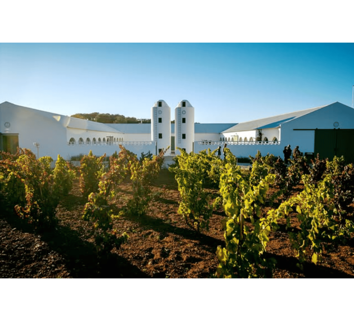 Herdade Aldeia de Cima Garrafeira - bílé víno