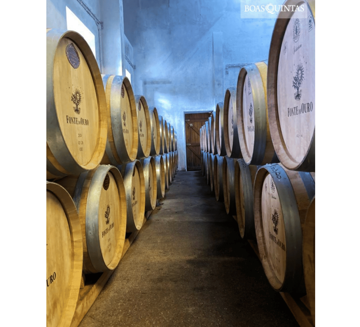 Boas Quintas Fonte do Ouro tinto - červené víno