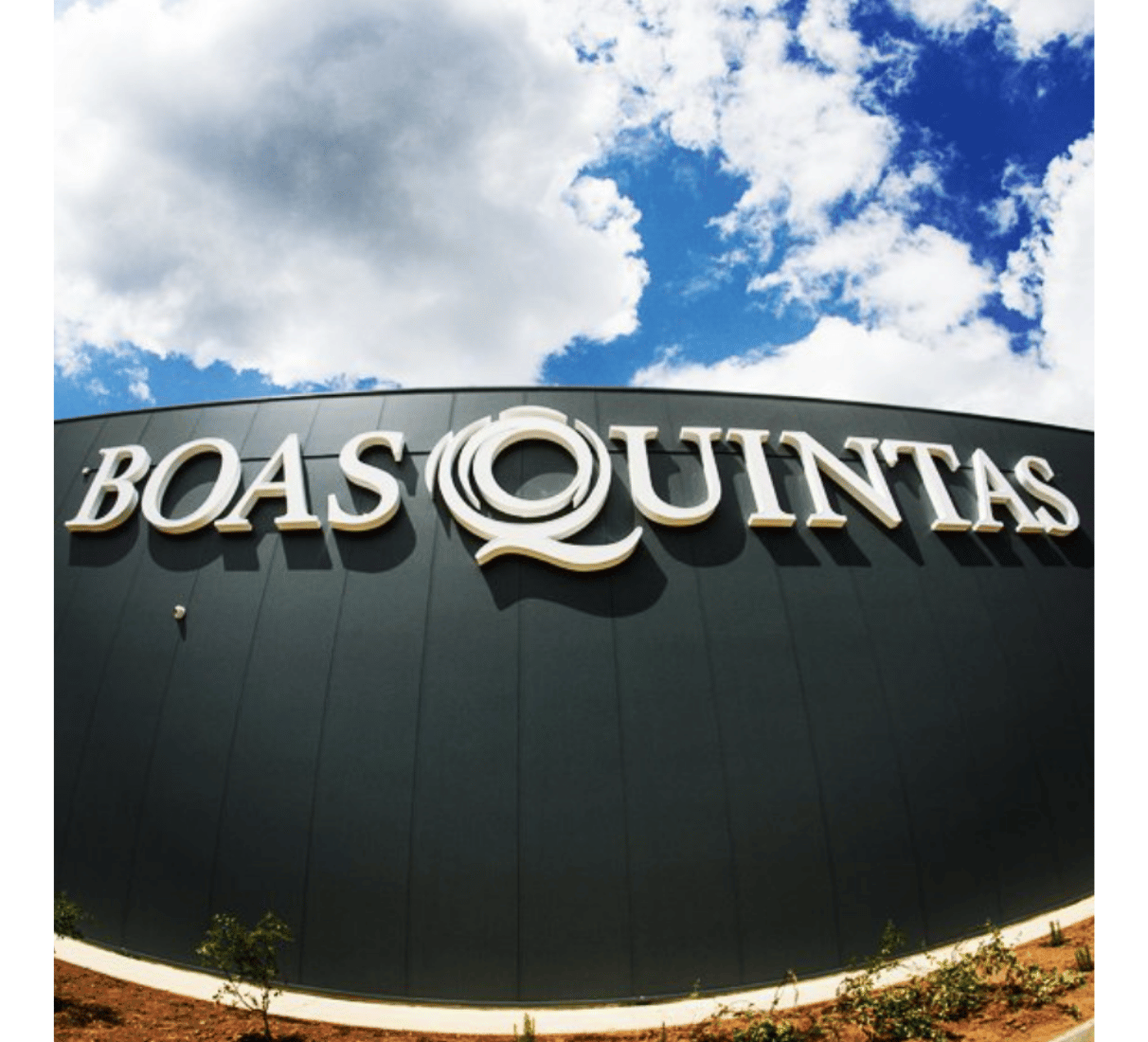 Boas Quintas Bucelas Arinto