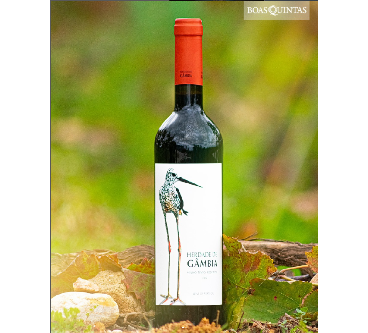 Boas Quintas Herdade de Gambia tinto