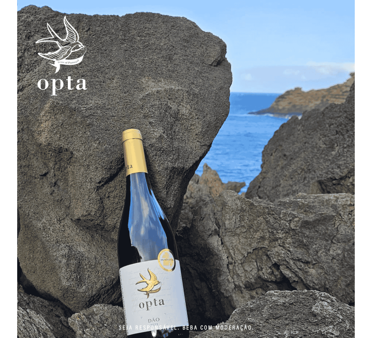 Boas Quintas Opta tinto - červené víno