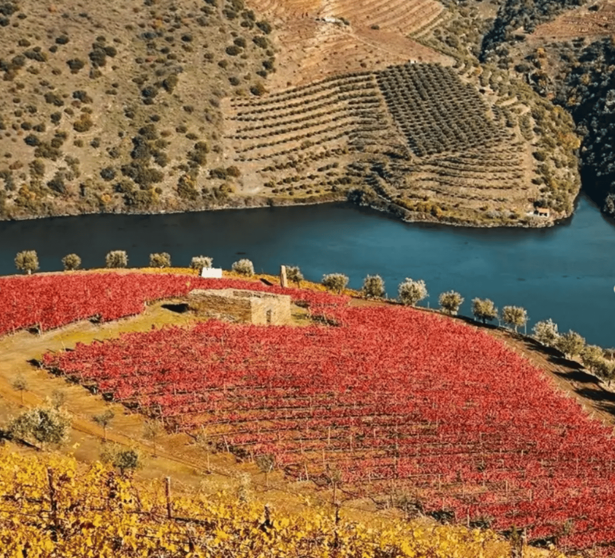 Quinta do Crasto Flor branco - bílé víno
