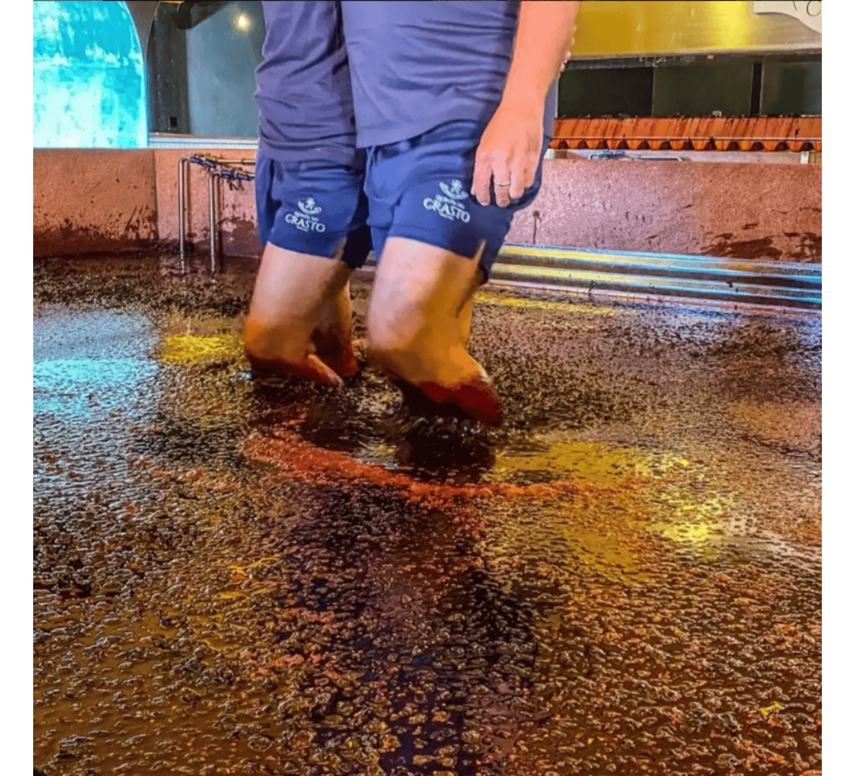Quinta do Crasto Flor branco - bílé víno