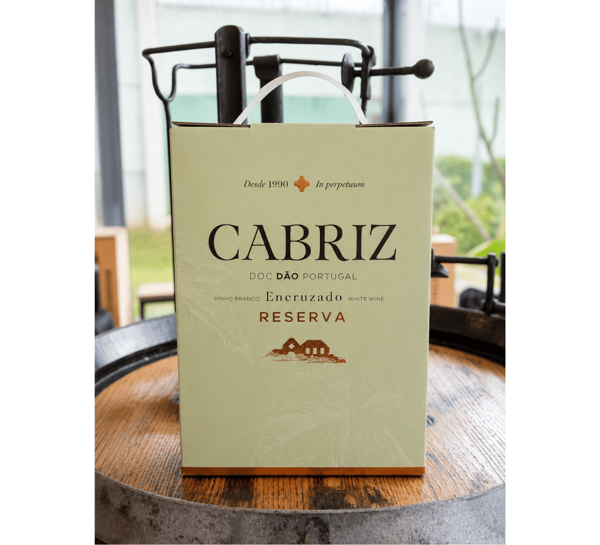 Bílé víno Cabriz Encruzado reserva 3l