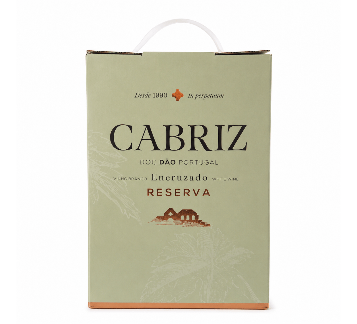 Bílé víno Cabriz Encruzado reserva 3l