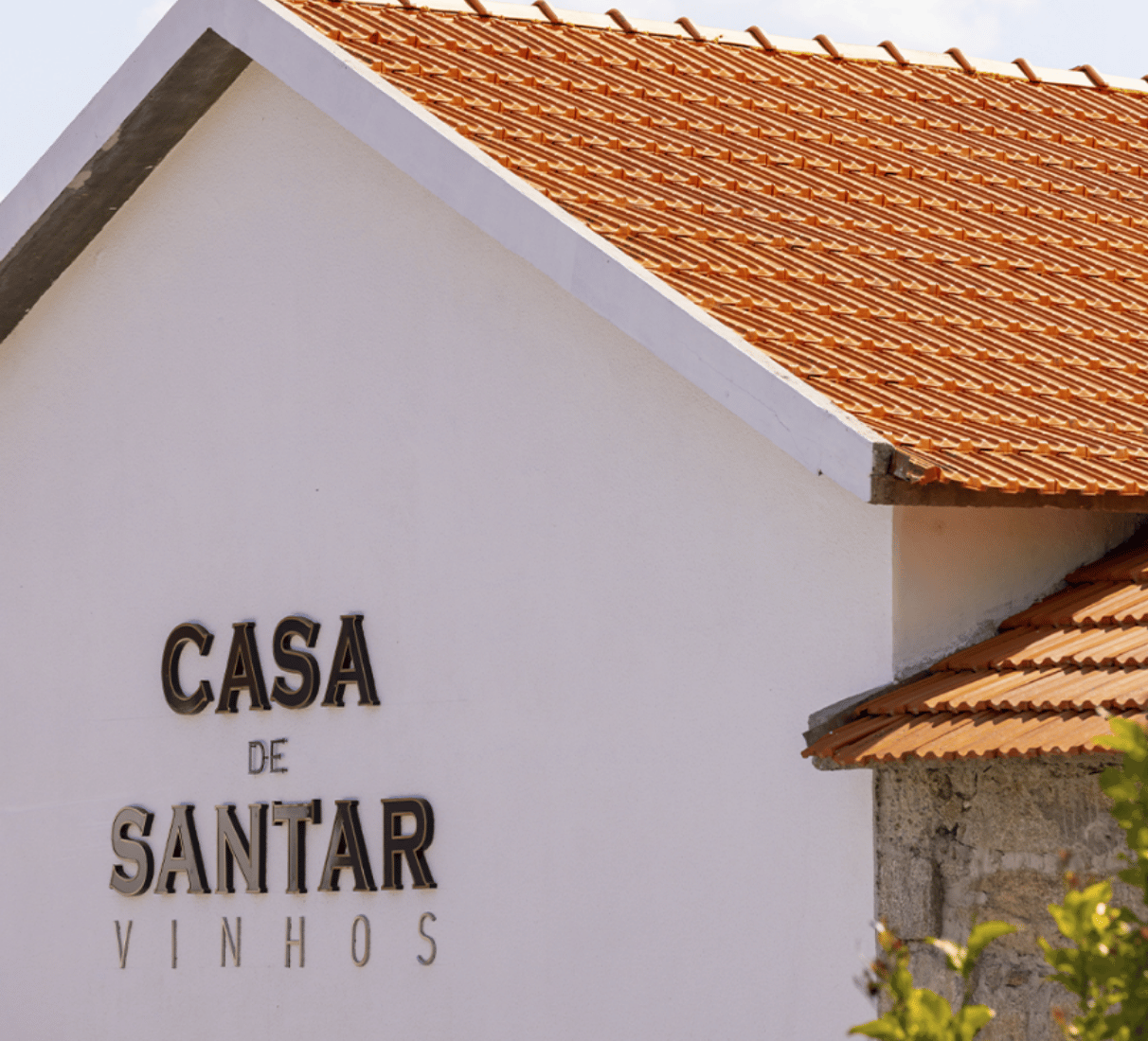 Casa de Santar branco - bílé víno