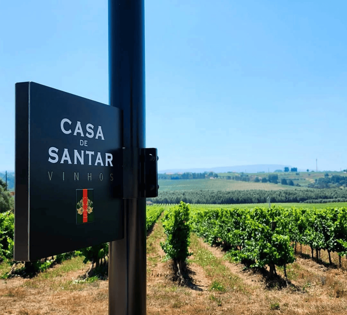 Casa de Santar Vinha dos Amores Touriga Nacional 2019
