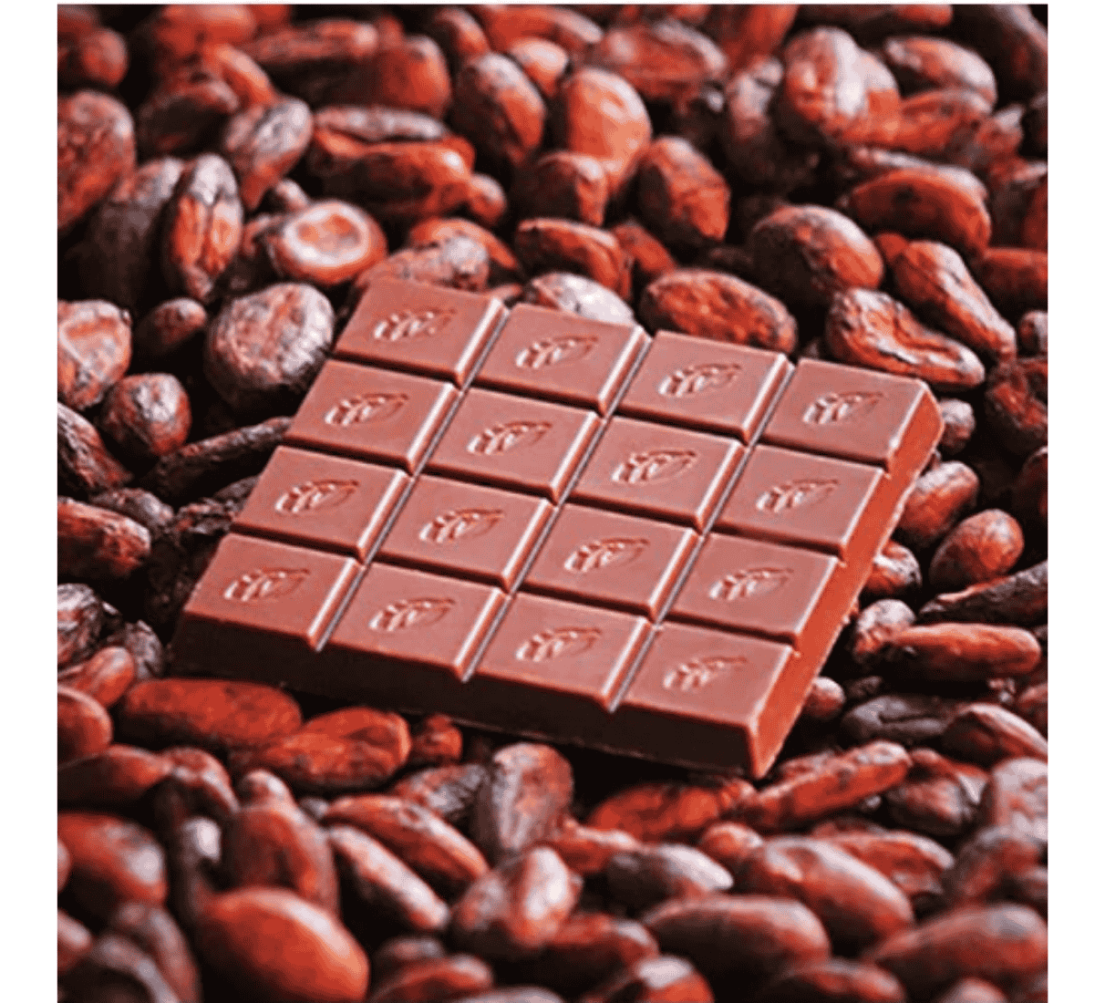 Willie´s Cacao Mléčná čokoláda Milk of the gods
