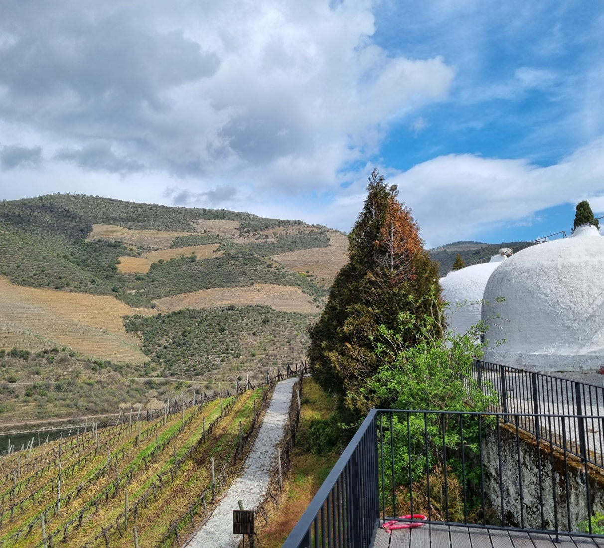 Kopke Folgazão a Rabigato Grande Reserva 2019