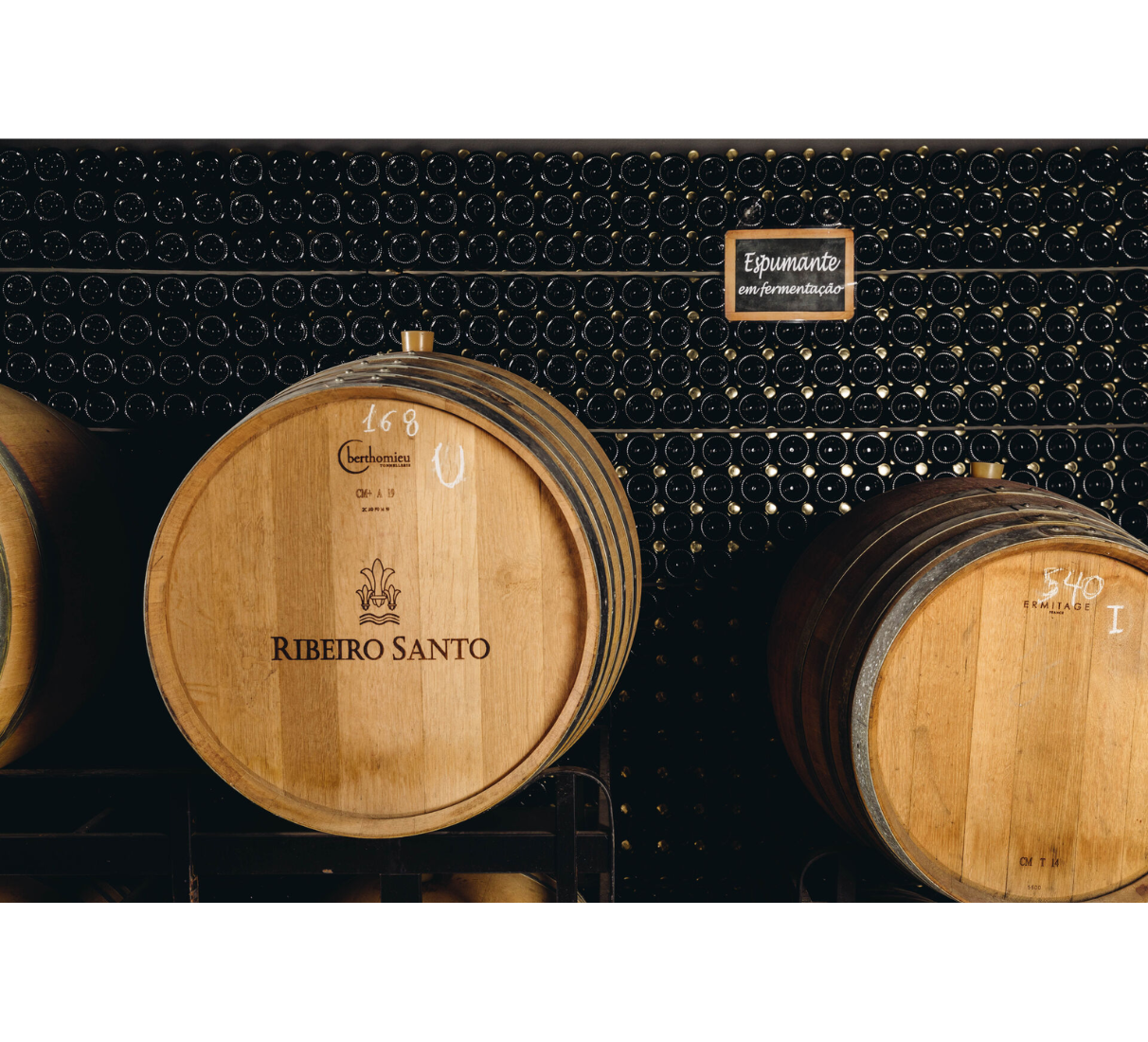 Sekt Ribeiro Santo Brut