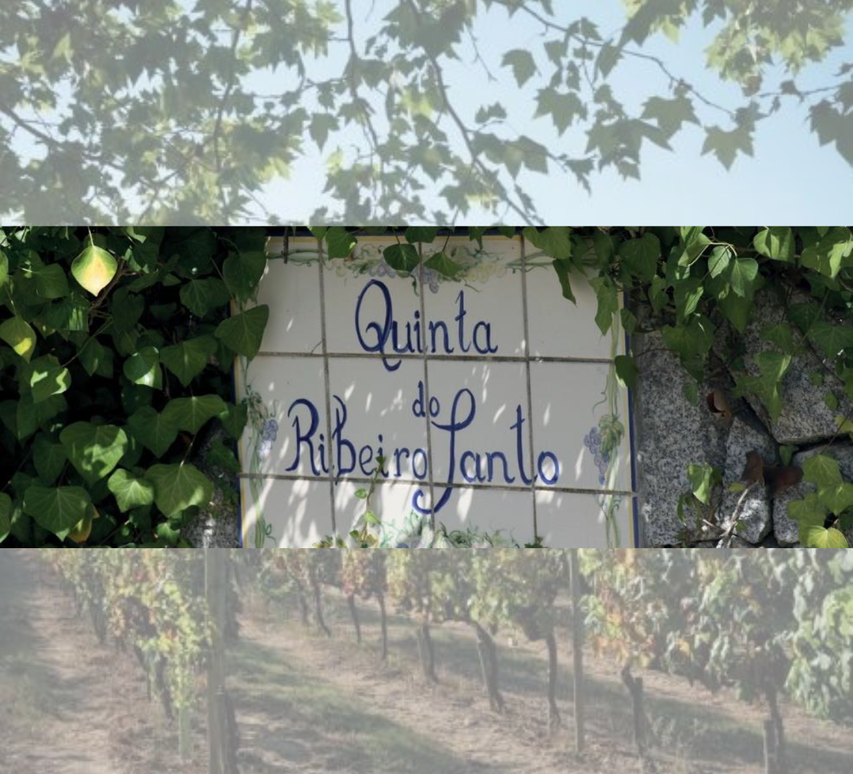 Sekt Ribeiro Santo Excellence Brut Nature