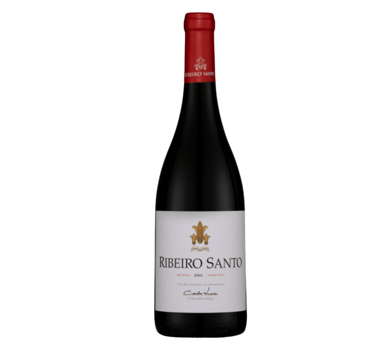 Magnum Carlos Lucas Ribeiro Santo tinto