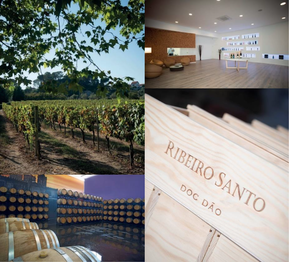 Sekt Ribeiro Santo Excellence Brut Nature