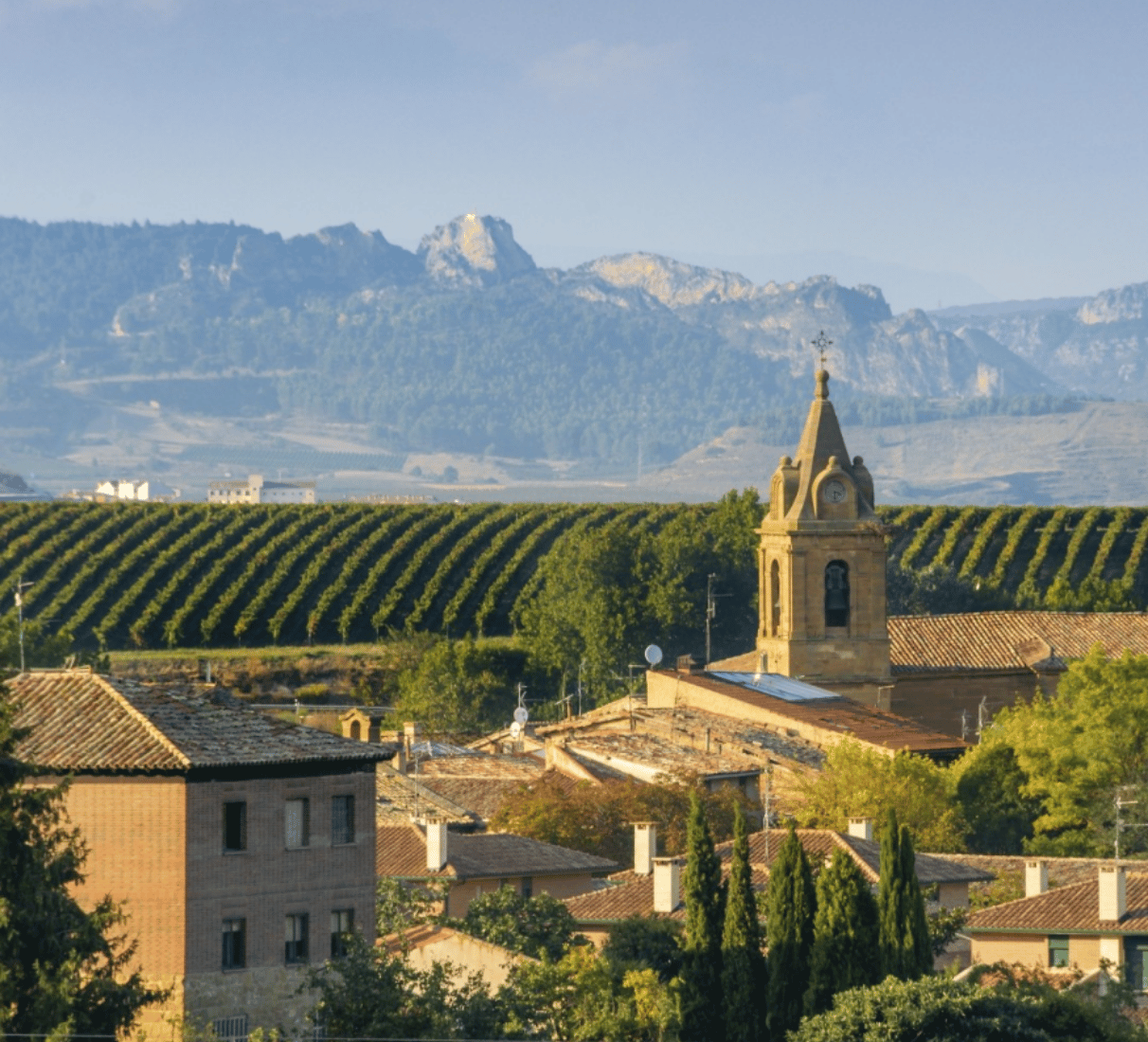 Muriel Fincas de la Villa Crianza - červené víno