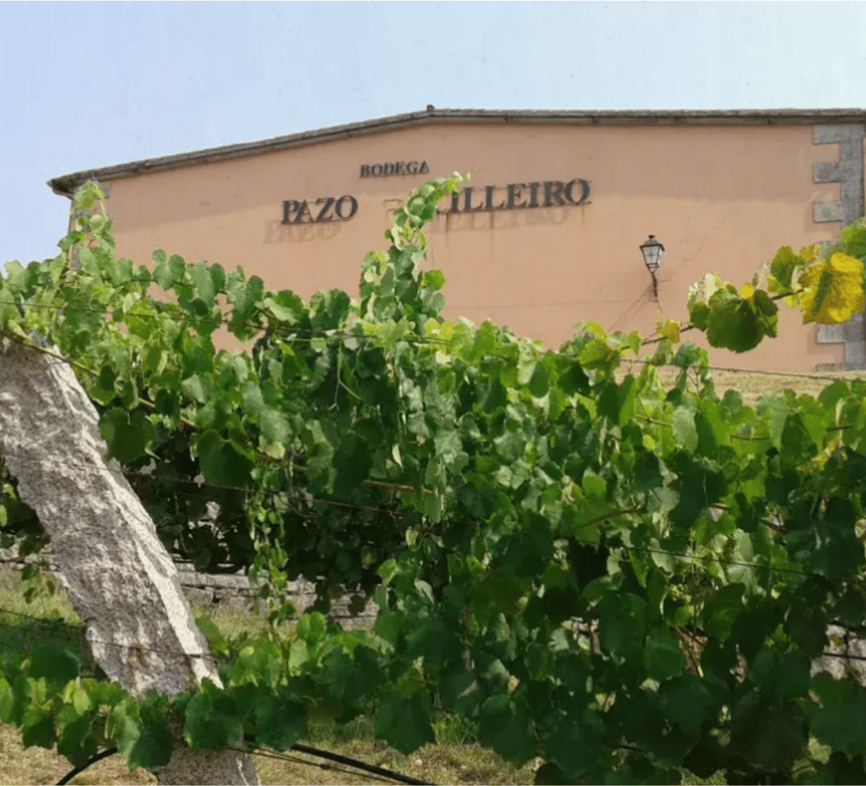 Muriel Pazo Cilleiro Albariño - bílé víno