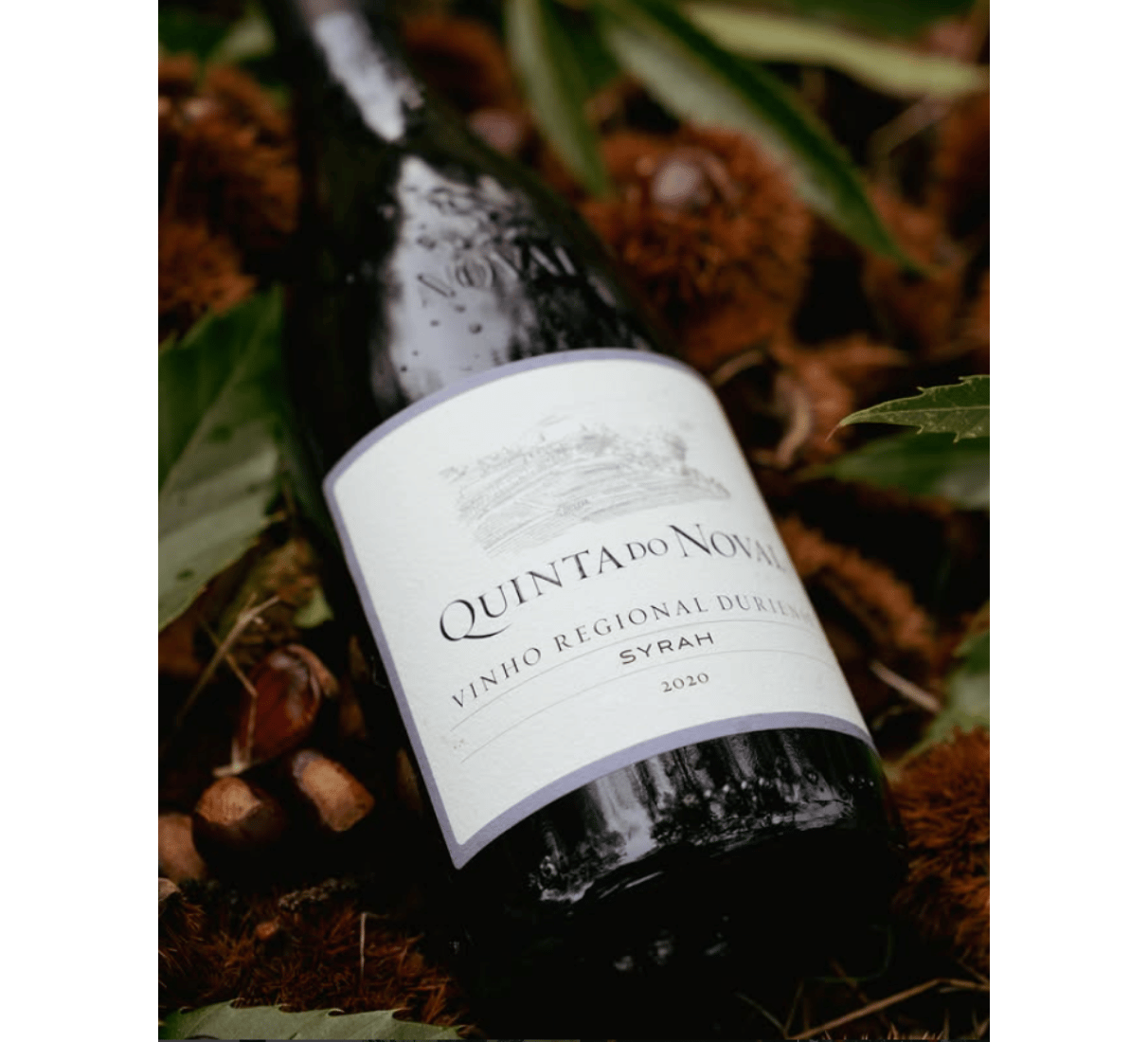 Quinta do Noval Syrah 2021 - červené víno