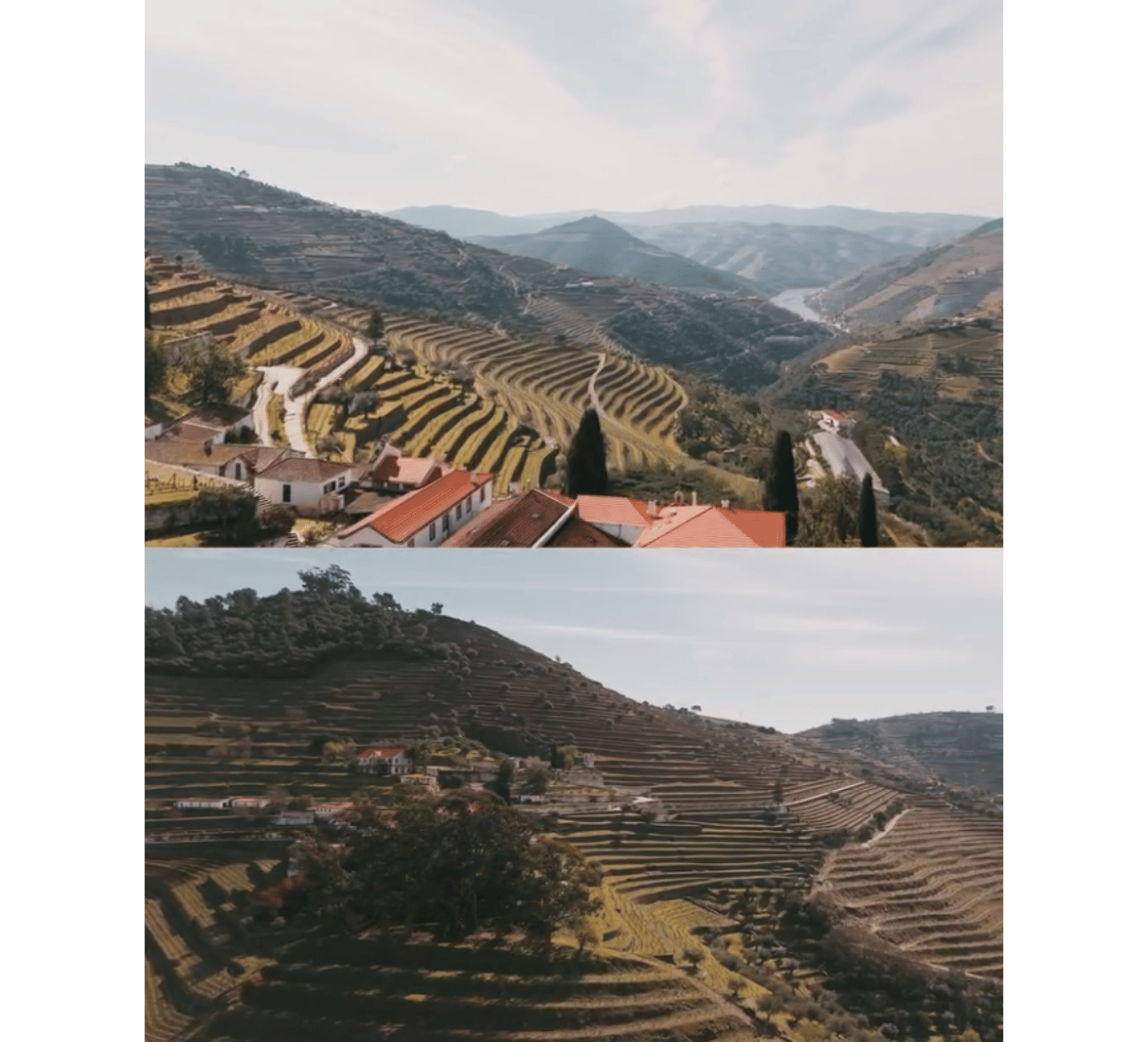 Quinta do Noval Syrah 2021 - červené víno