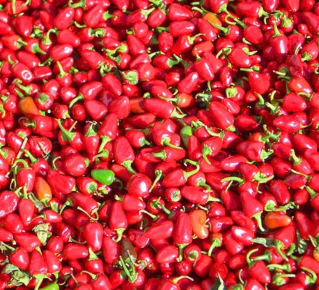 Pálivá omáčka Piri-Piri