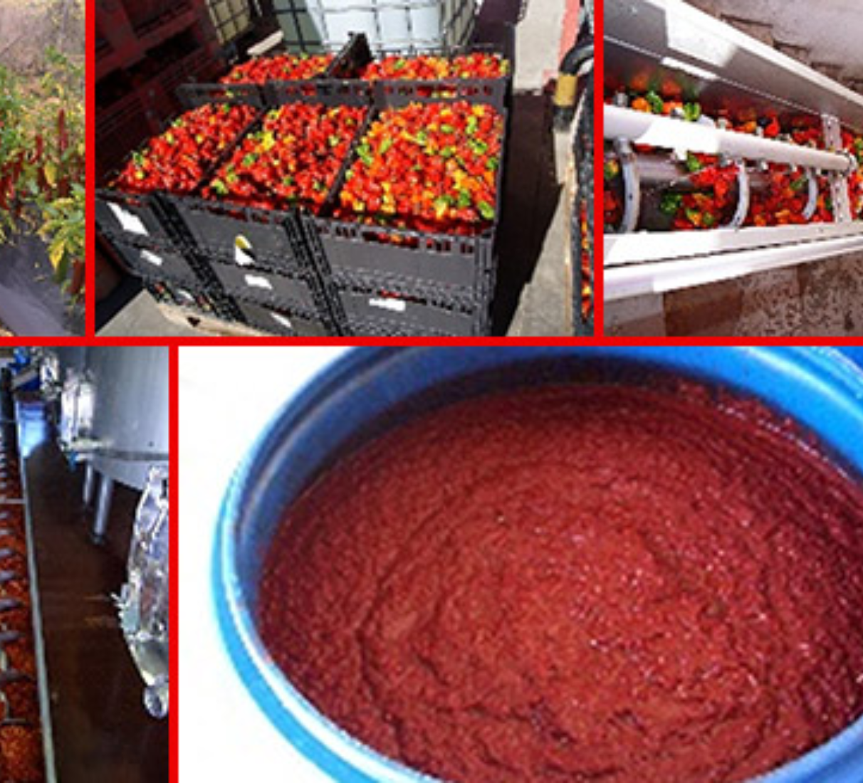 Pálivá omáčka Piri-Piri
