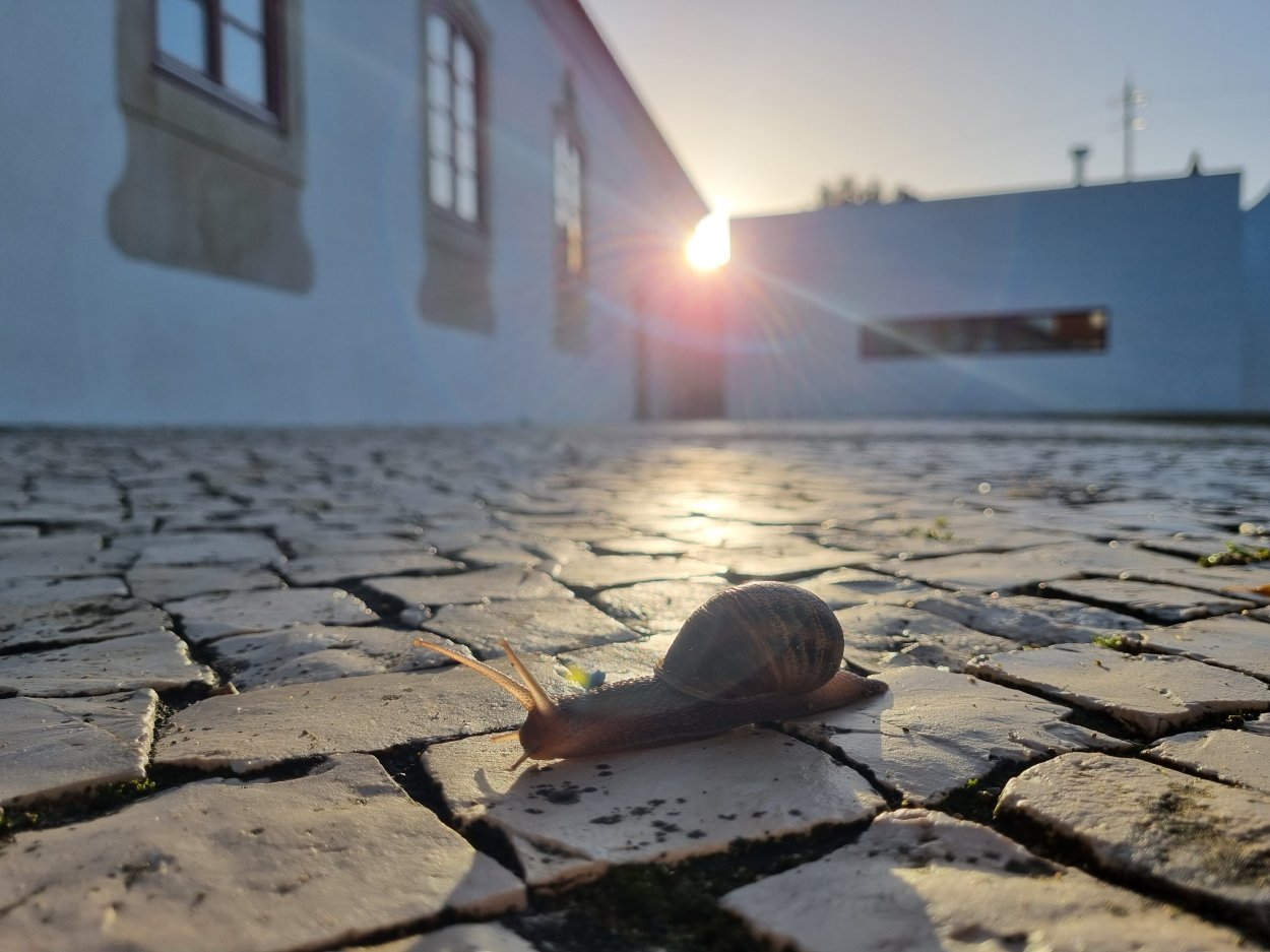 Quinta da Lapa Nana Reserva