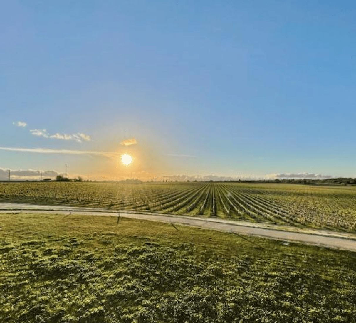 Quinta da Lapa Homenagen Grand Reserva - červené víno