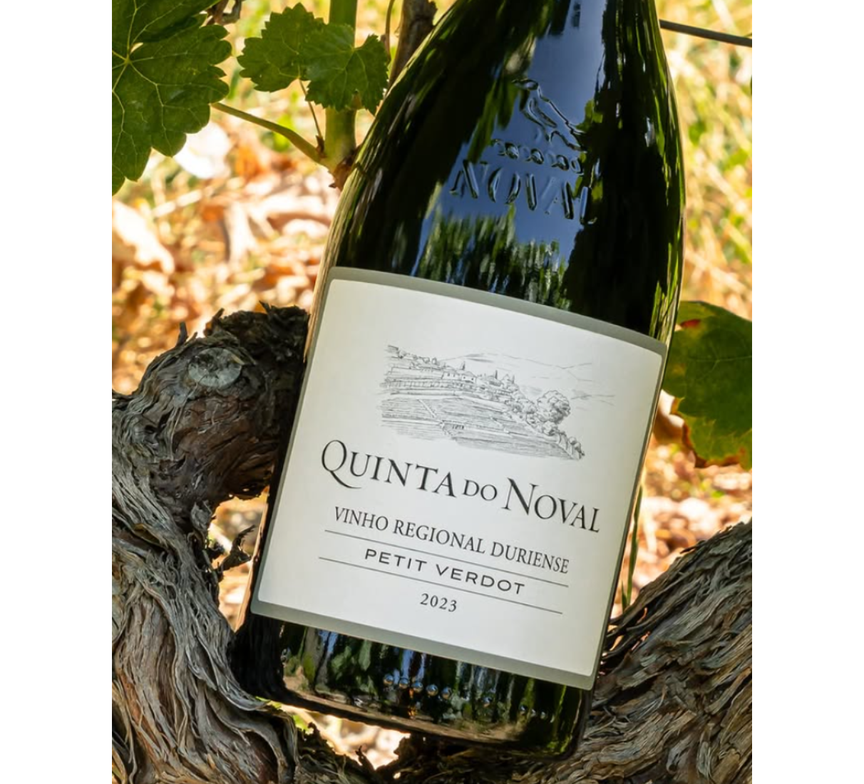 Quinta do Noval Petit Verdot - červené víno