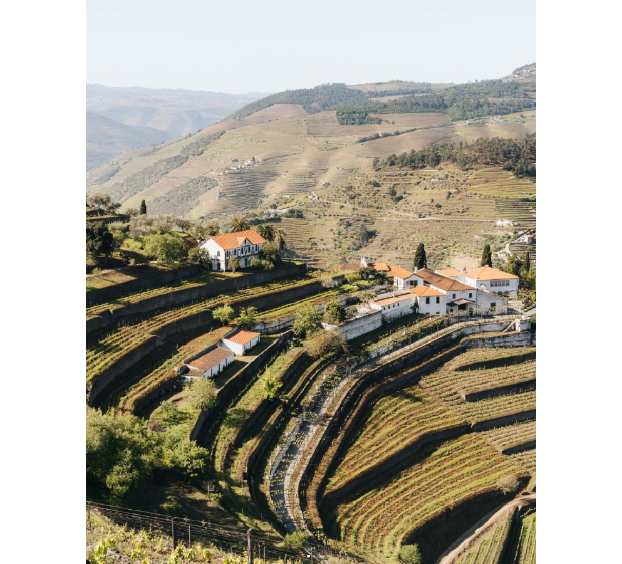 Quinta do Noval Petit Verdot - červené víno