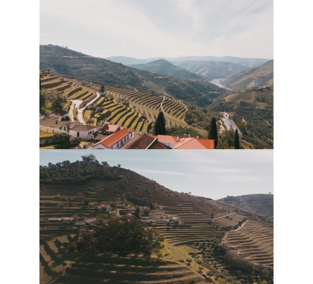 Quinta do Noval Petit Verdot - červené víno