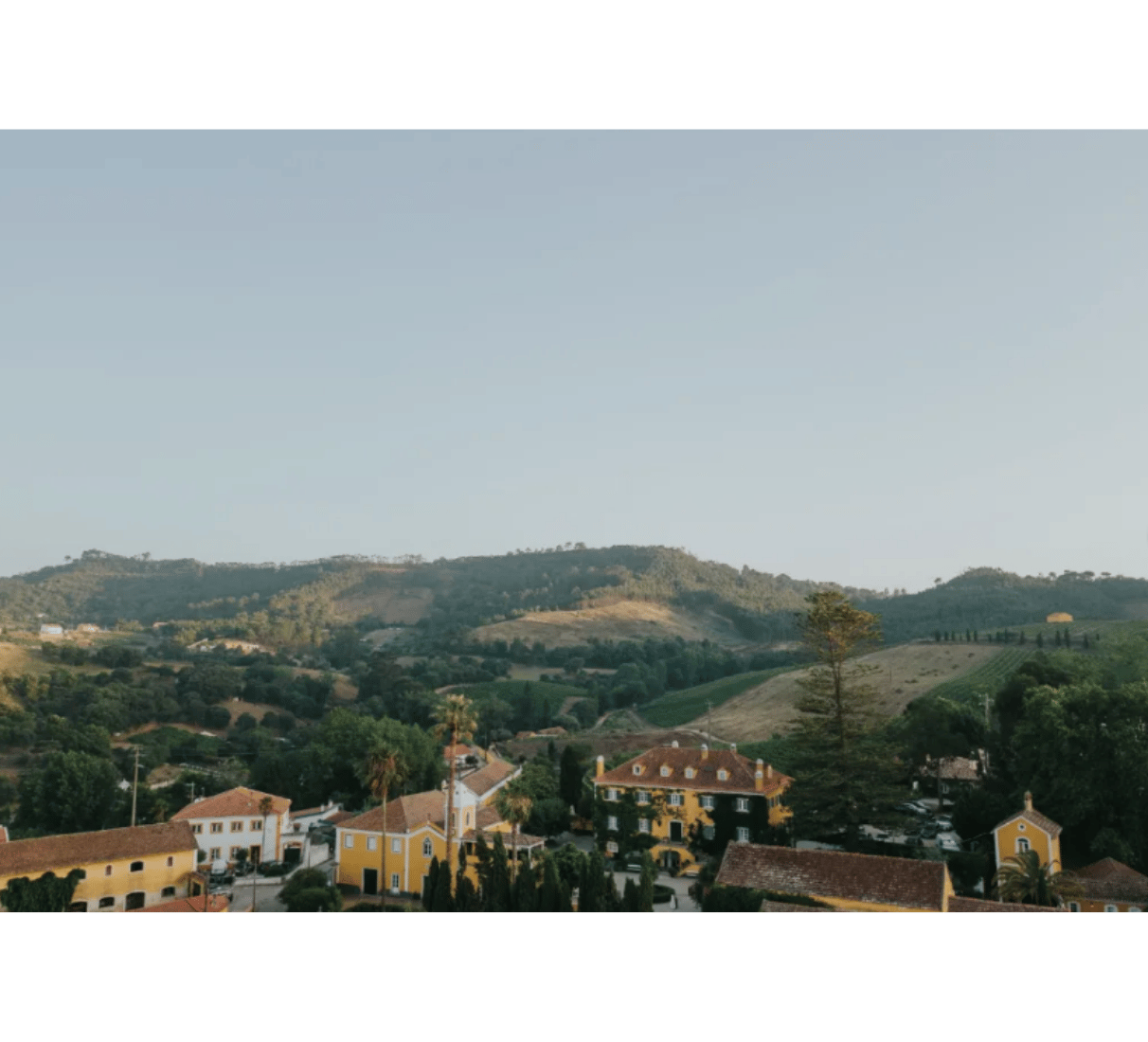 Quinta de Sant´Ana Arinto - bílé víno