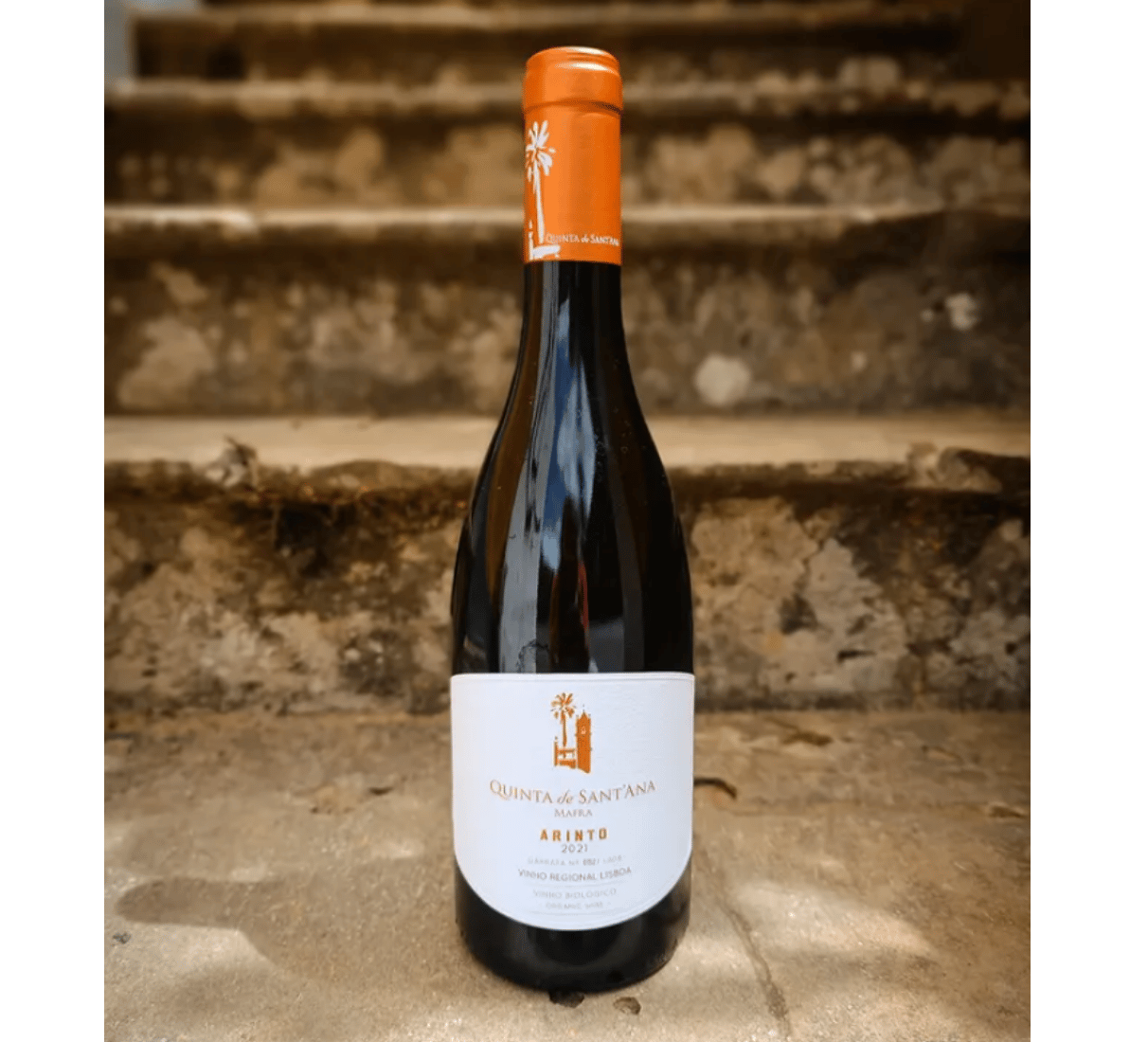 Quinta de Sant´Ana Arinto - bílé víno