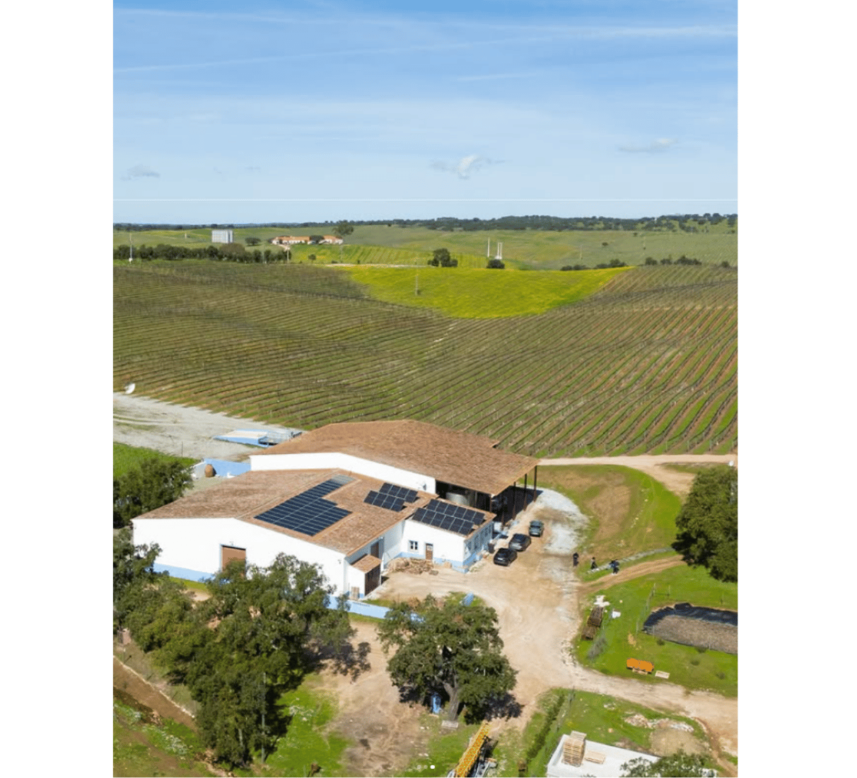 Casa Santos Lima Barricas reserva - červené víno