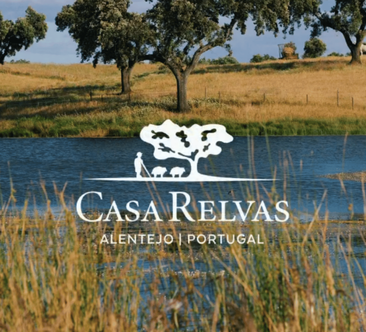 Casa Alexandre Relvas Monte dos Amigos branco - bílé víno