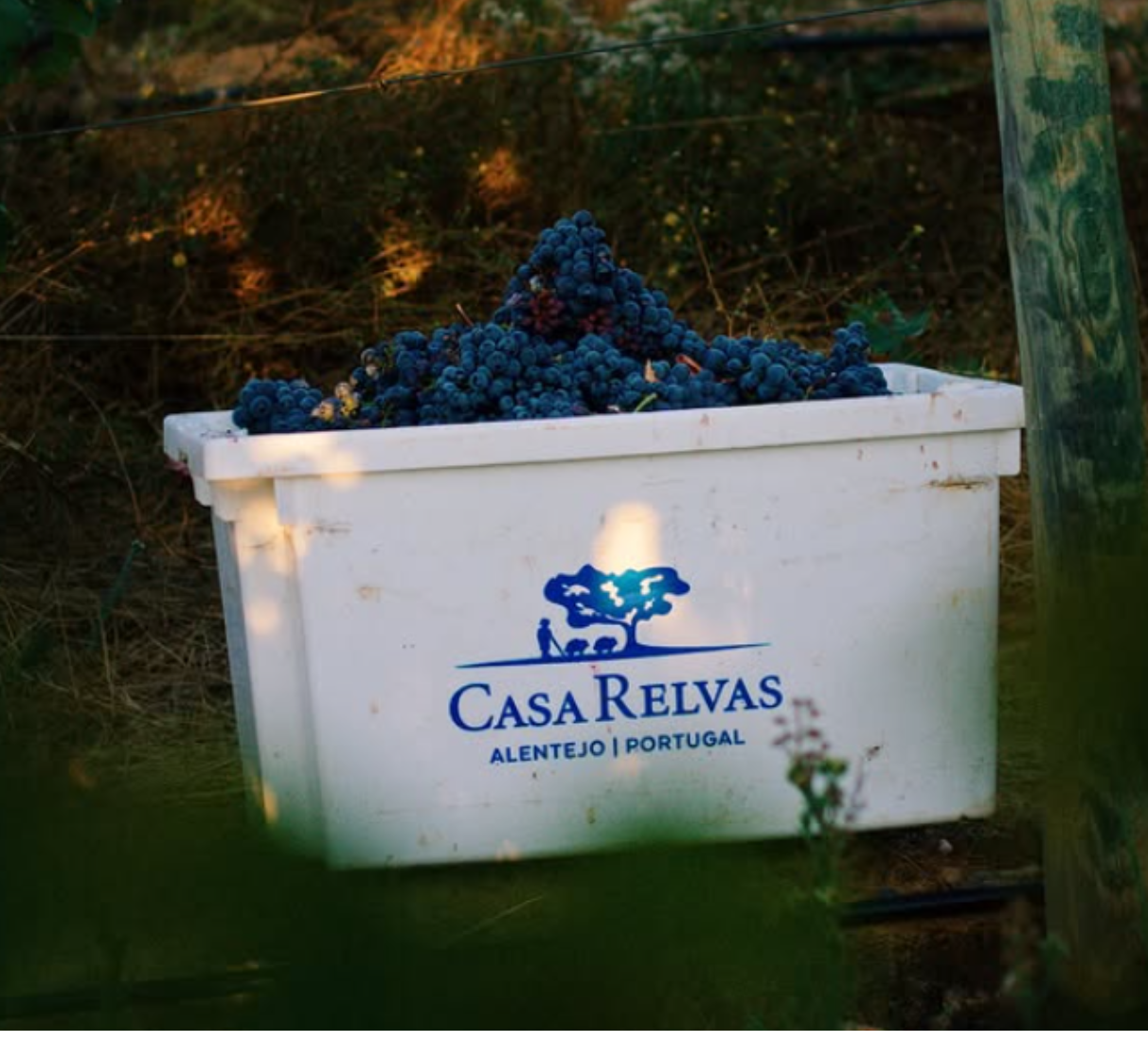 Casa Alexandre Relvas Monte dos Amigos tinto