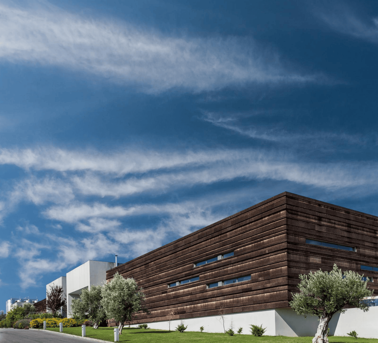 Casa Alexandre Relvas Monte dos Amigos tinto